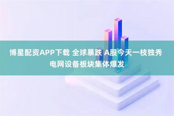 博星配资APP下载 全球暴跌 A股今天一枝独秀 电网设备板块集体爆发