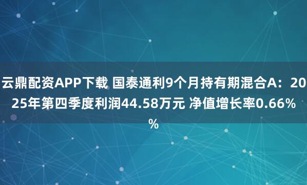 云鼎配资APP下载 国泰通利9个月持有期混合A：2025年第四季度利润44.58万元 净值增长率0.66%